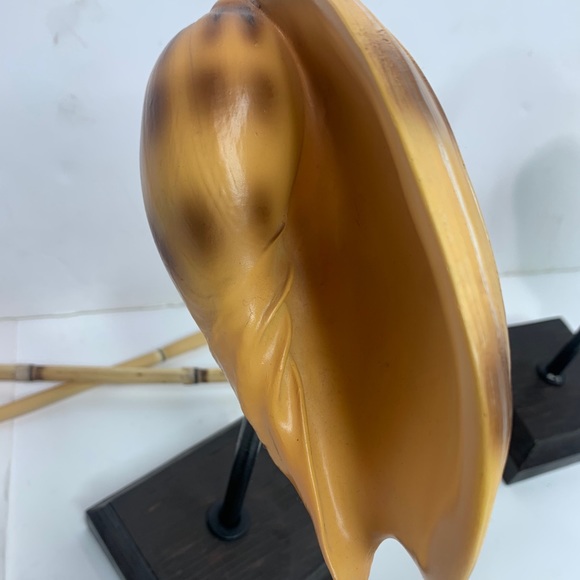 Shell Decor - Picture 8 of 8